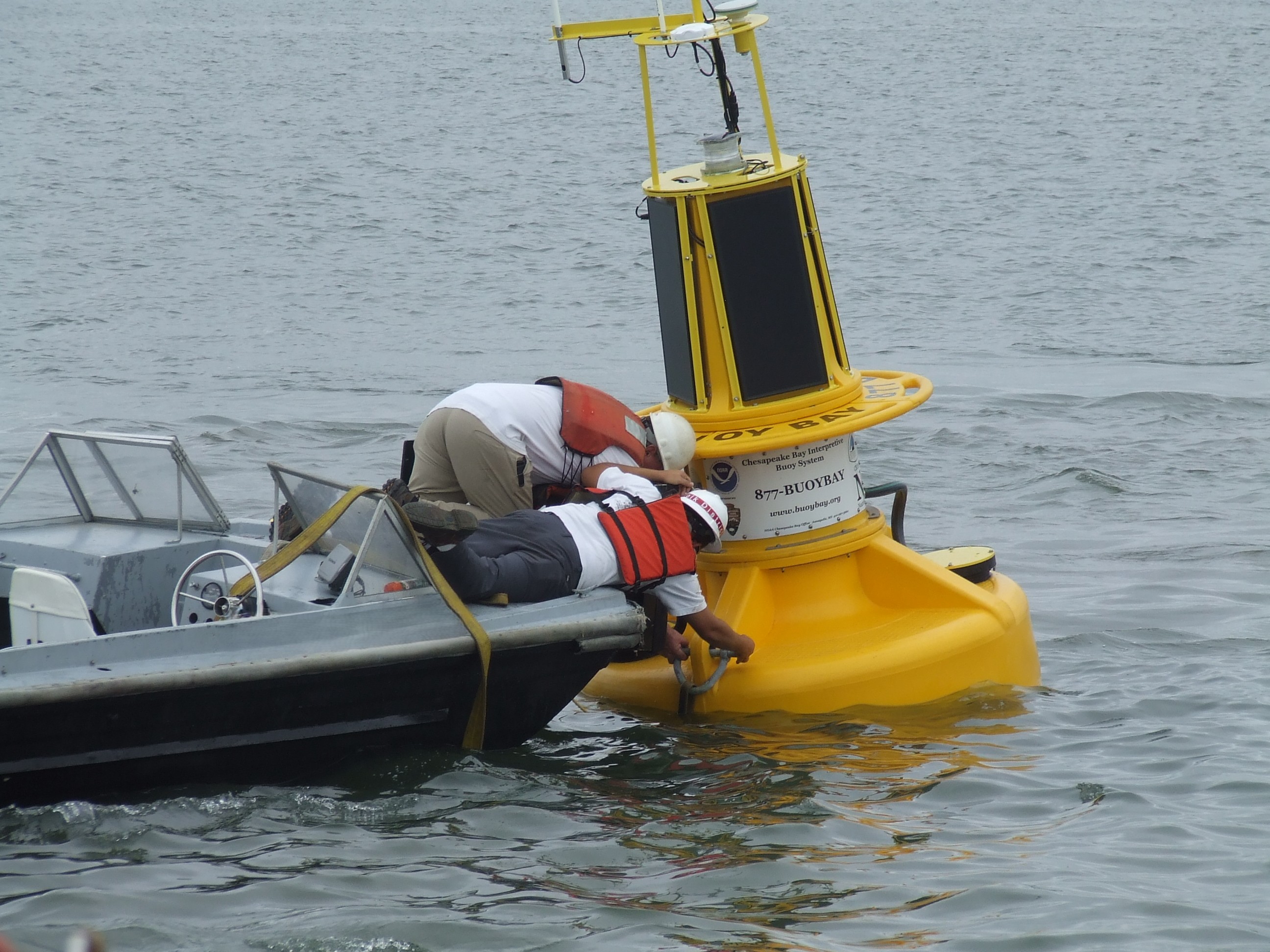 Ocean Radiation Network
