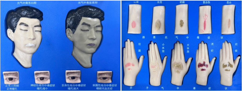 Chemical Agent Poisoning Manikin